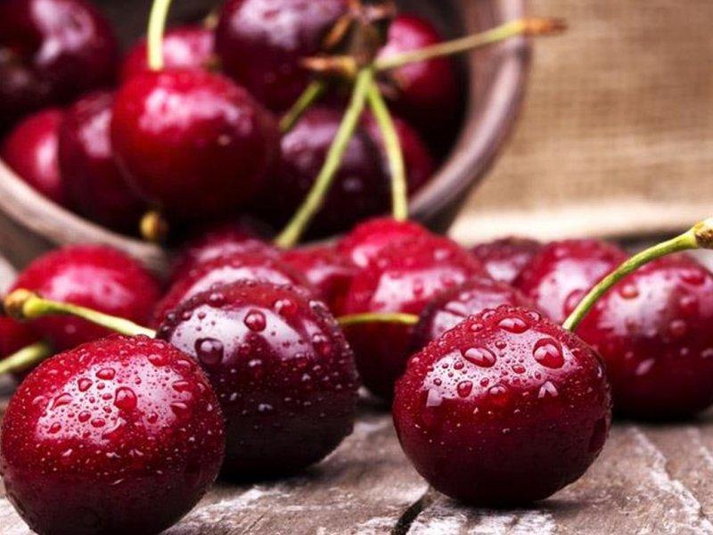 Вишня купить саженцы из питомника в Каспийске